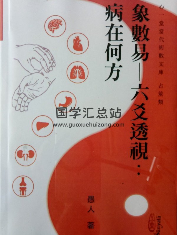 愚人著《象数易——六爻透视：病在何处》PDF-封面六爻