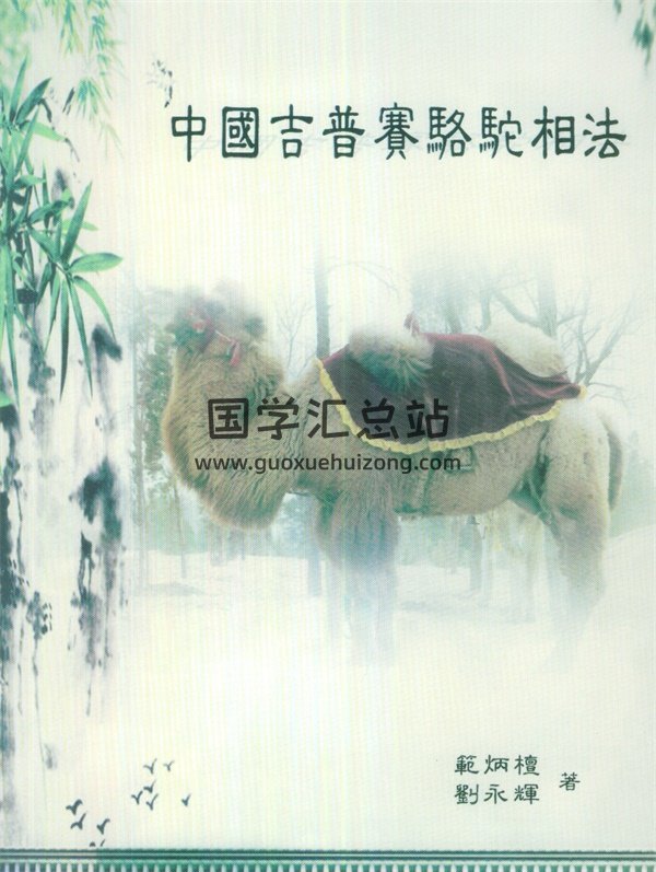 范炳檀 刘永辉《中国吉普赛骆驼相法》PDF电子书分享-封面手相面相