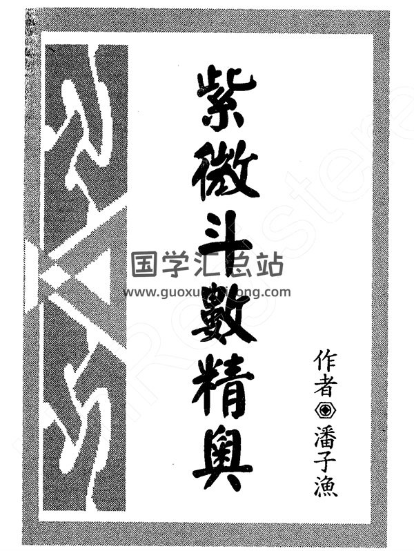 潘子渔《紫微斗数精奥》PDF电子书网盘分享-封面紫微斗数