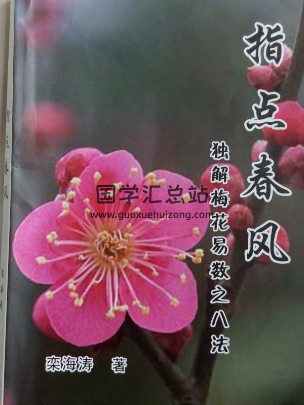 独解梅花易数之八法 《指点春风》栾海涛 拍照版PDF-封面梅花易数