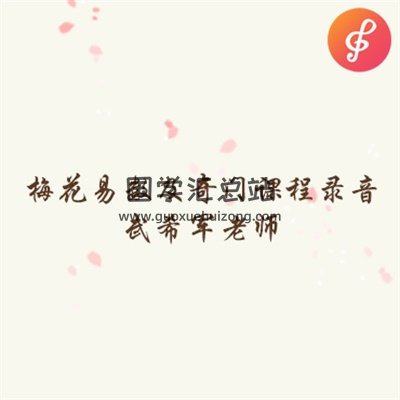 武希军老师梅花易数及奇门面授全程录音加笔记-封面梅花易数