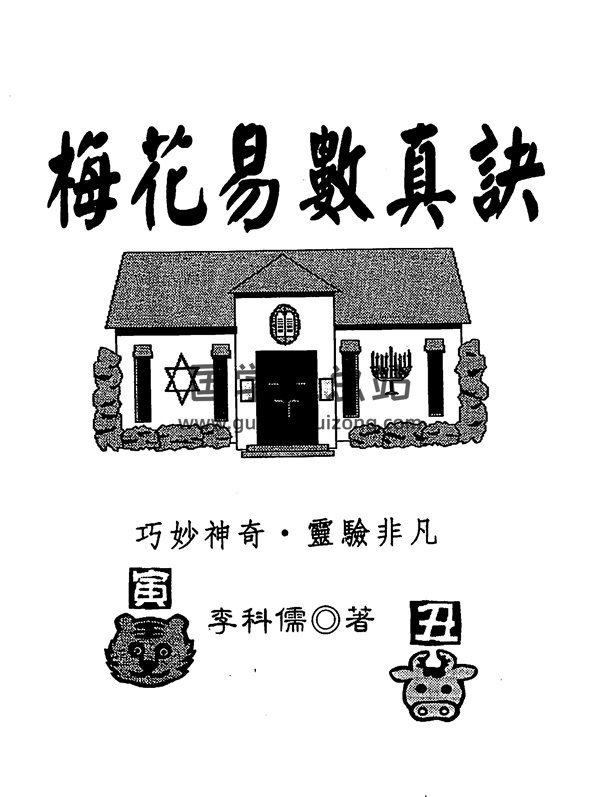 李科儒《梅花易数真诀》PDF电子书-封面梅花易数