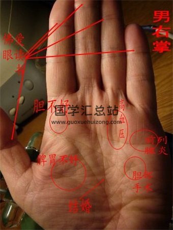 南海相学（图）+南海手纹正向A流年法文档-封面手相面相