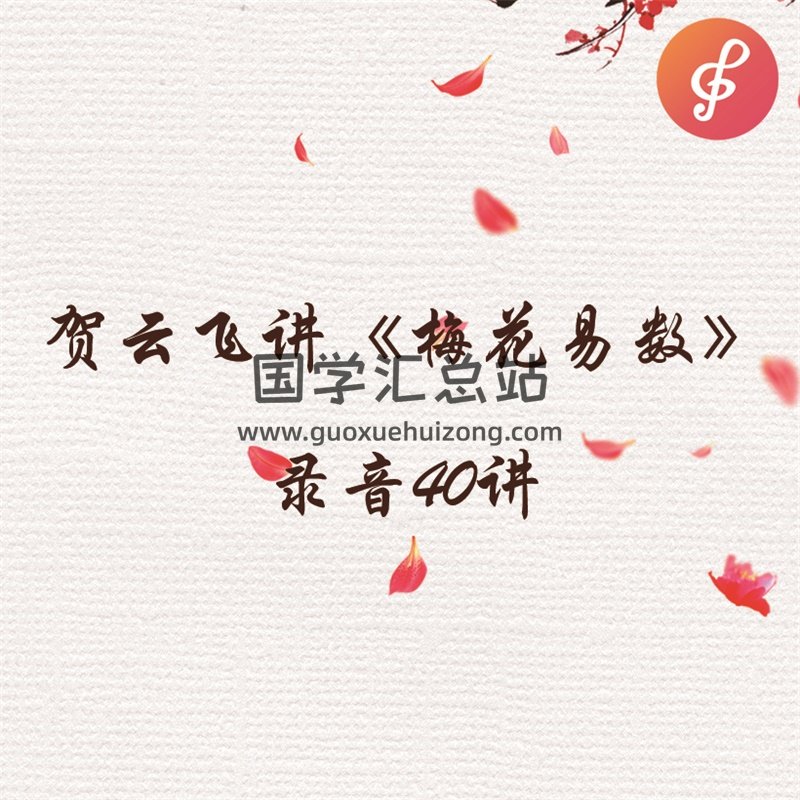 贺云飞讲《梅花易数》录音(40讲)+资料-封面梅花易数