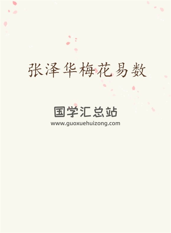 张泽华梅花易数文档36份word版-封面梅花易数