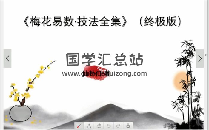 仙扑门梅花易术（终极版） 直播视频11集视频10GB-封面梅花易数