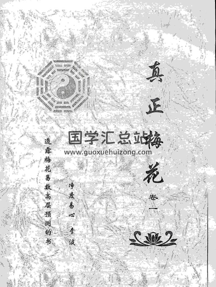 《真正梅花》共三卷 净度易心 李液著 3本PDF电子书下载-封面梅花易数