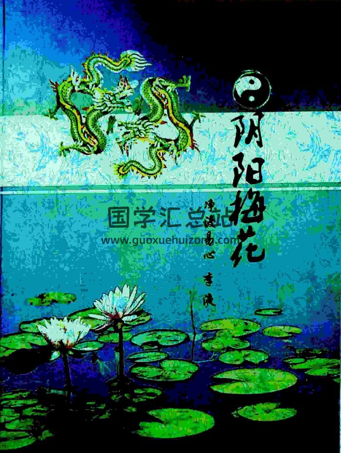《阴阳梅花》净度易心 李液著 141页-封面梅花易数