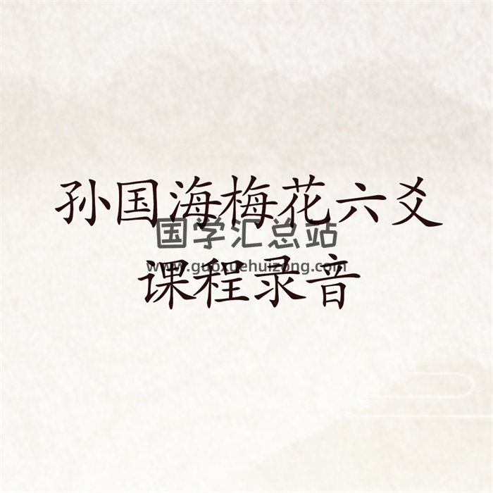 孙国海中高级梅花六爻培训等课程录音72集-封面六爻
