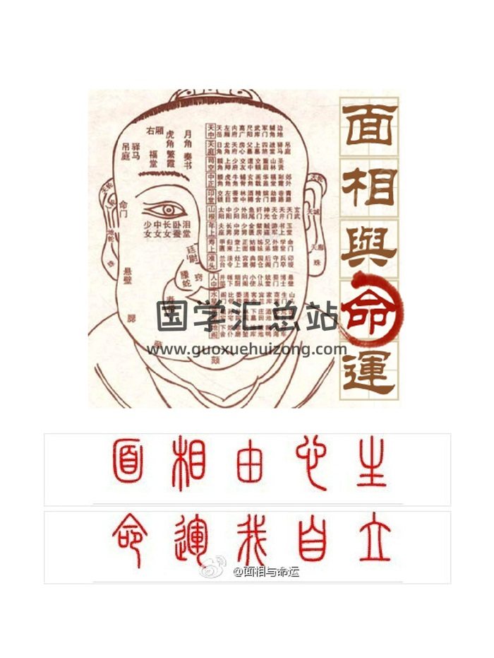 麦玲玲面相讲座-面相先生相学资料汇编31页-封面手相面相