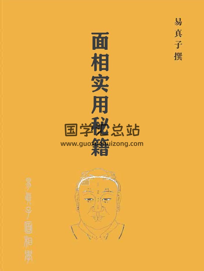 易缘易真子《实用面相秘籍》238页PDF电子书-封面手相面相