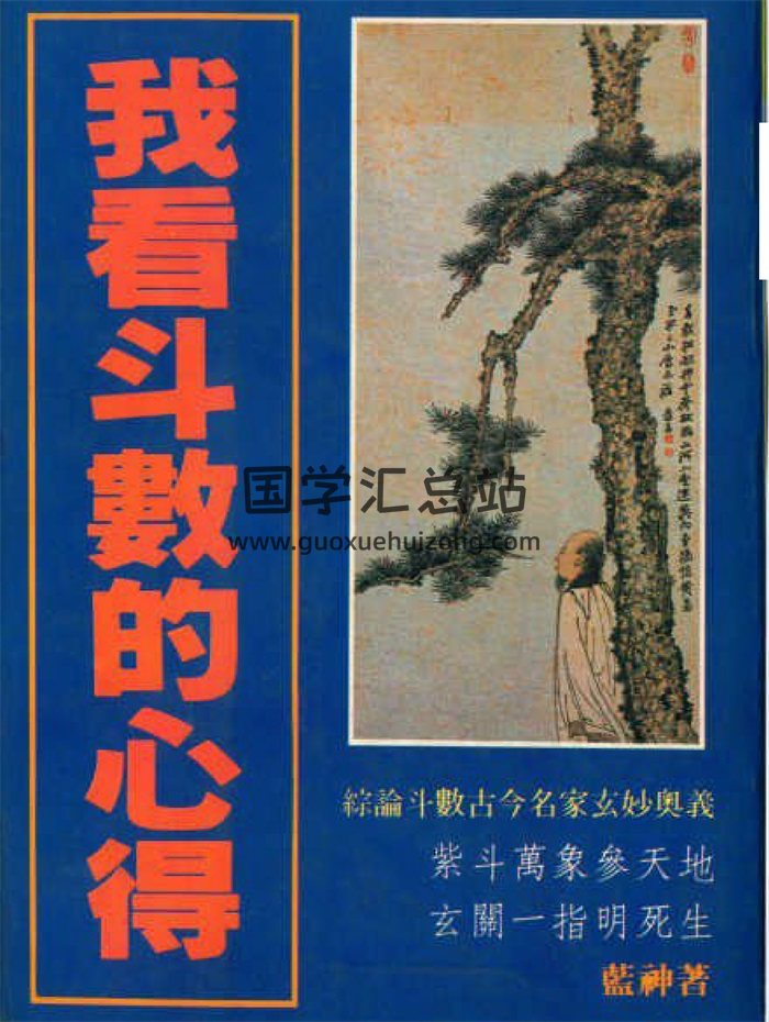 蓝神《我看斗数的心得》67页双面PDF电子书百度网盘分享-封面紫微斗数