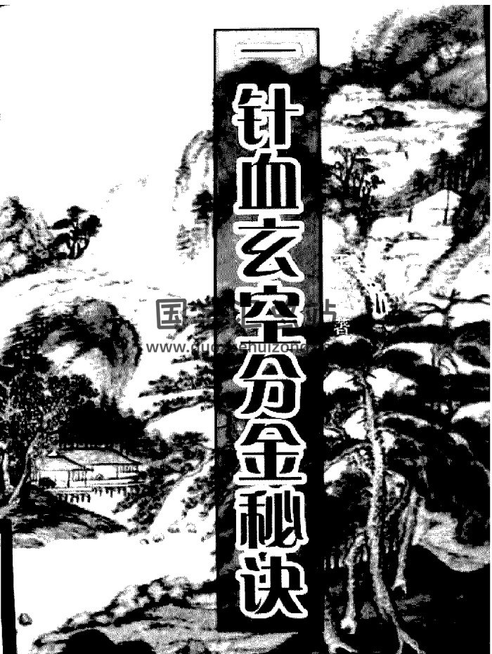 《一针血玄空分金秘诀》王成高著203页-封面风水堪舆