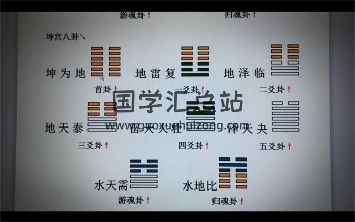 王政《皇极梅花六爻基础课程》视频23集-封面梅花易数