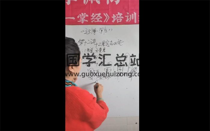 李佩袀达摩一掌经培训视频47集+精修班12集-封面命理