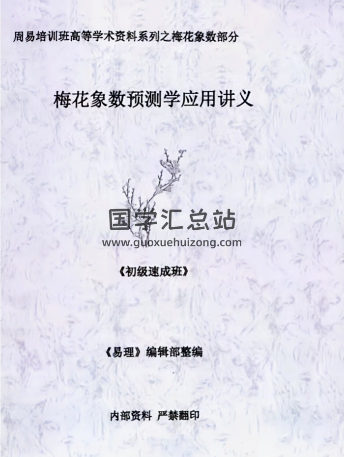 《梅花象数预测学应用讲义》 初级中级高级3册-封面梅花易数