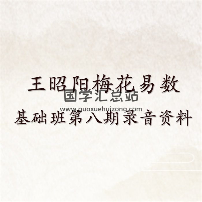 王昭阳 梅花易数基础班第八期录音资料等-封面梅花易数