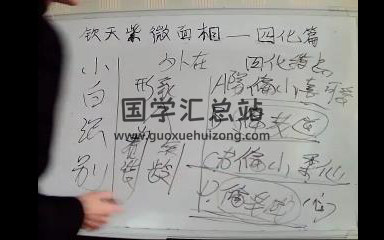 云毅钦天紫微面相视频13集-封面手相面相