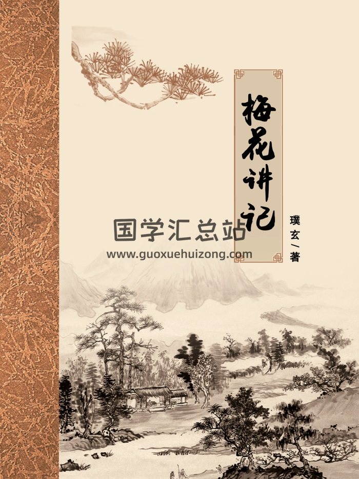 璞玄老师 金口透易梅花占课程记录《梅花讲记》393页高清-封面梅花易数