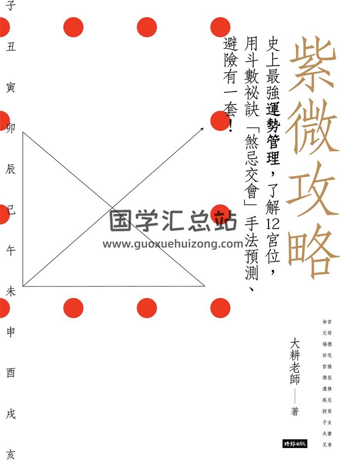 大耕老师紫微斗数书籍《紫微攻略1》316页-封面紫微斗数