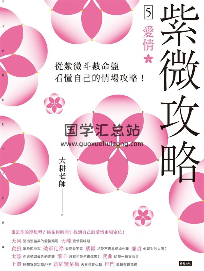大耕老师《紫微攻略5爱情》370页-封面紫微斗数