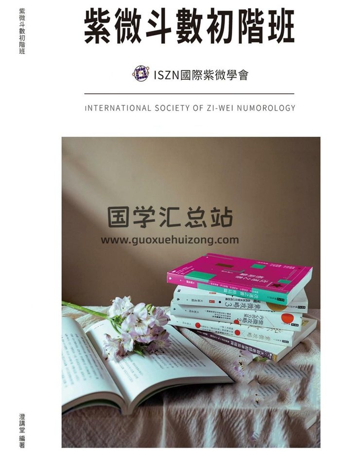 大耕老师《紫微斗数课程讲义》入门班初阶班进阶班3本PDF电子书-封面紫微斗数