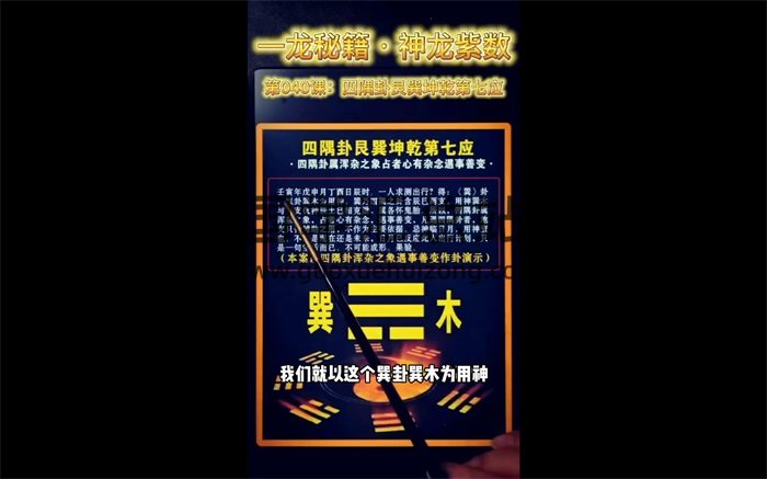 外應佔法《周易神龍紫數預測術》視頻86集-封面術數其他