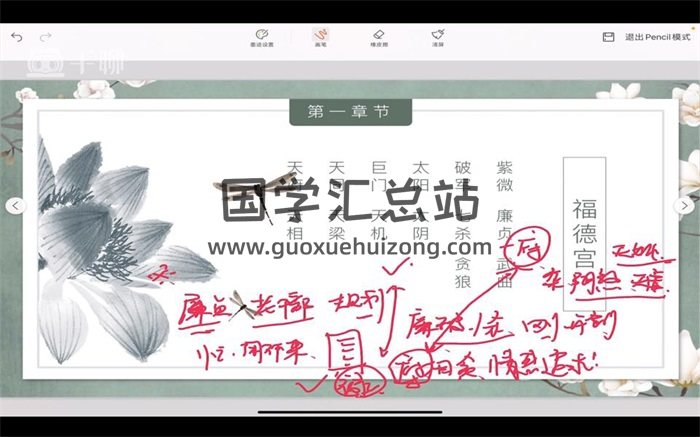 旺旺老师《中州派紫微斗数》43集视频约25.5小时-封面紫微斗数