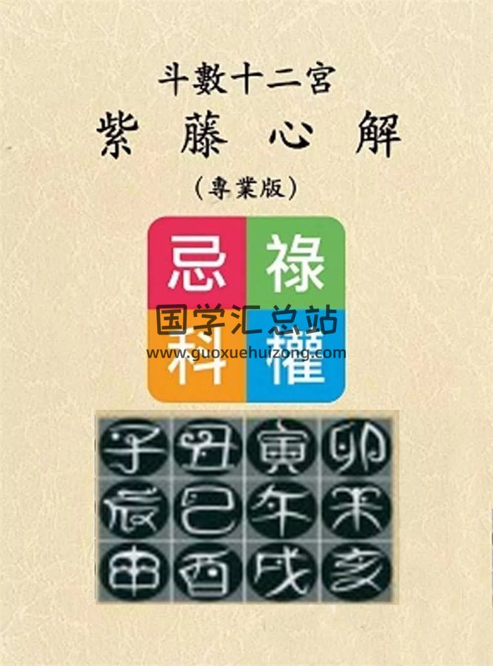 《斗数十二宫紫藤心解（专业版）》李樵著1340页-封面紫微斗数