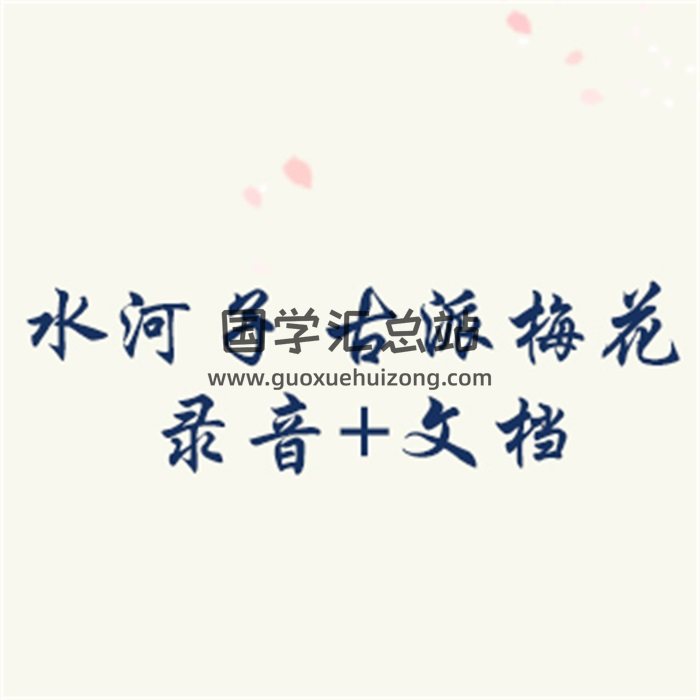 水河子 古派梅花 录音+文档-封面梅花易数