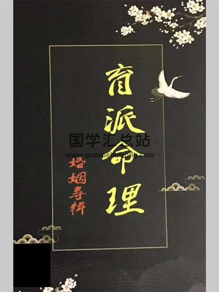《盲派命理婚姻专辑》盲派高级面授班讲义 228页-封面命理