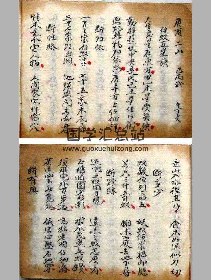 《白蚁五星诀》（8页）-封面风水堪舆