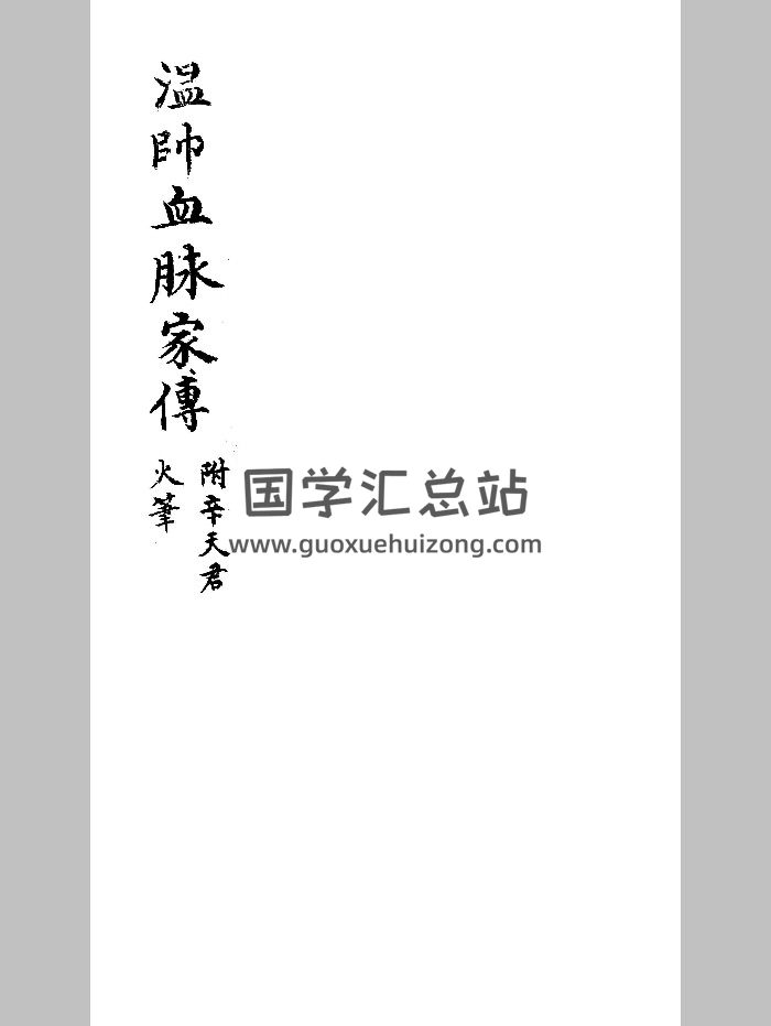 《温帅血脉家传》 （祛杂版）（27页）-封面道法符咒