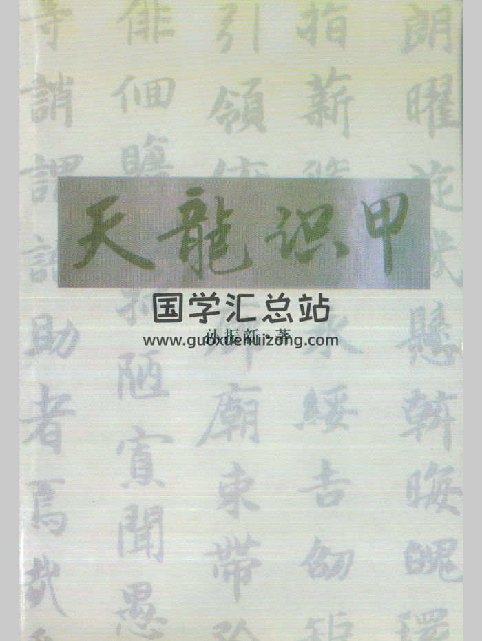 孙振新《丧葬礼仪：天龙识甲》215页-封面风水堪舆