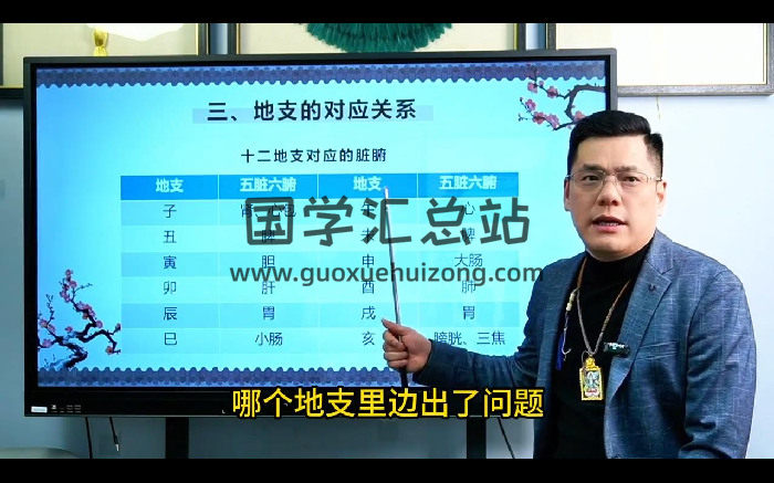 骆老师 亲传高阶弟子班视频48集-封面手相面相