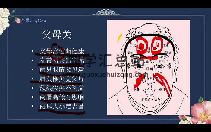 糖果《全息识人术》30集视频-封面手相面相