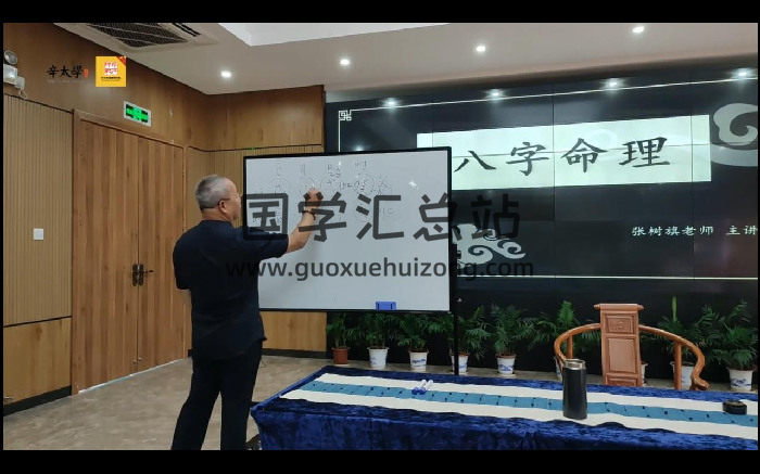 张树旗 八字命理10集视频-封面四柱八字