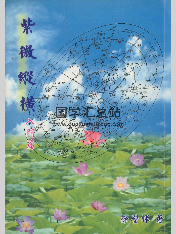 《紫微纵横入门篇》徐壁辉著 382页-封面紫微斗数