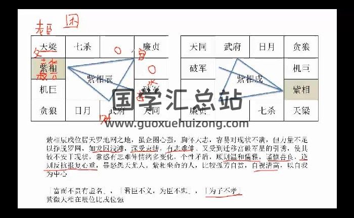 乾元《紫微斗数》48集视频约37.5小时-封面紫微斗数