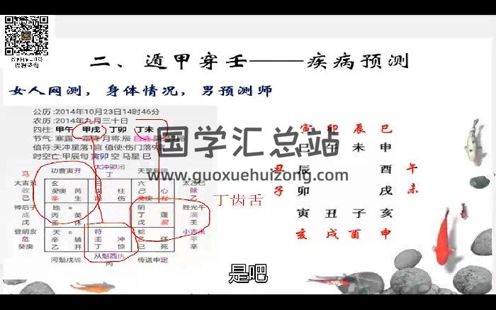 张逍遥《星布局能量学、遁甲穿壬、面相学》3套课程-封面手相面相