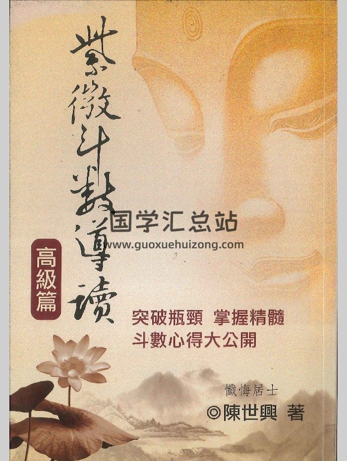 《紫微斗数导读 高级篇》陈世兴著 362页-封面紫微斗数