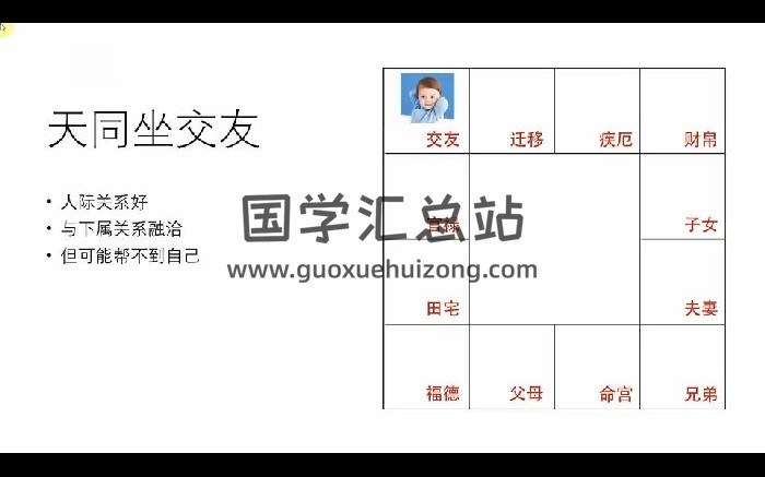 爱丽娅《紫微斗数初级班》24集视频约5.5小时-封面紫微斗数