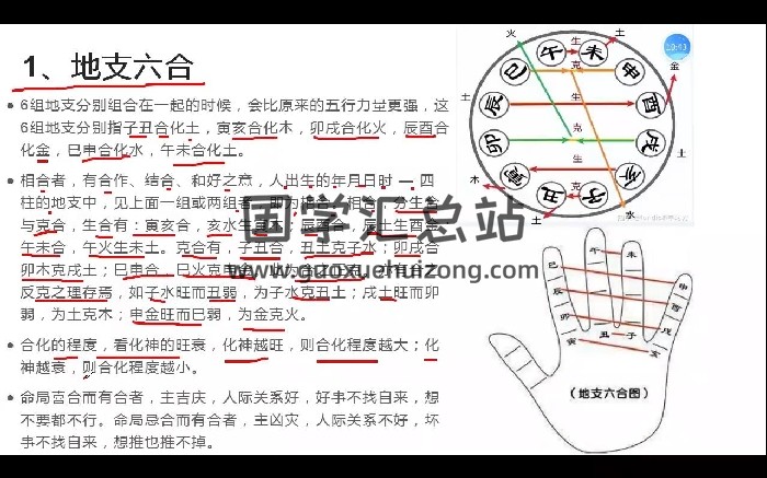紫阳老师《梅花易数高级课程》视频14集-封面梅花易数