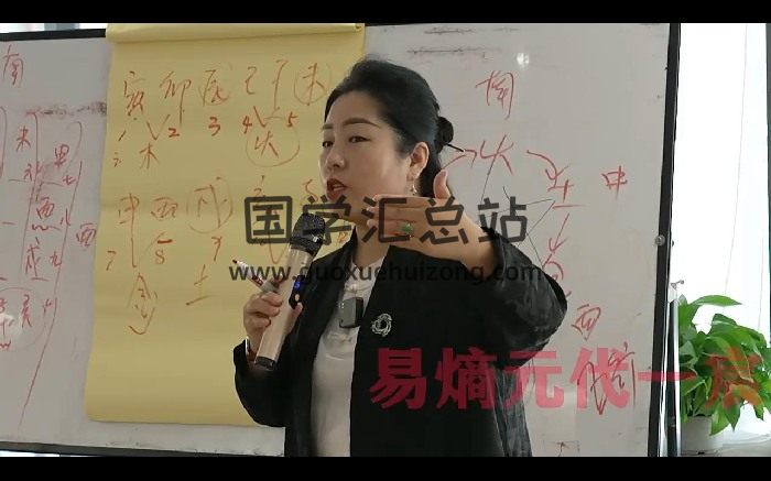 易熵元梅花易数课程视频79集-封面梅花易数
