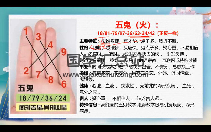 乐虎《数字风水》数字能量学47集约10小时-封面风水堪舆
