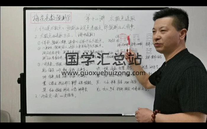 张老师《张老师讲梅花》23集视频约5小时-封面梅花易数