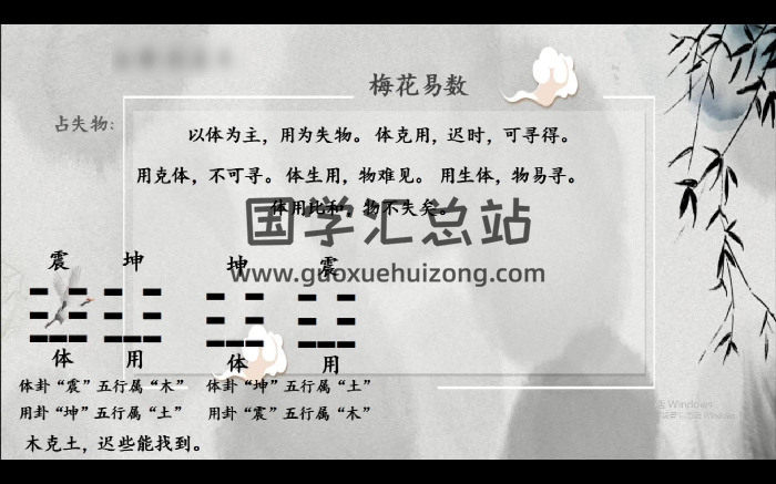 白静宇《道家梅花象学文化课》24集视频约2小时-封面梅花易数