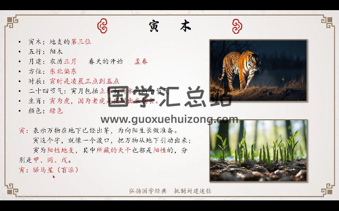 龙诗雅《八字命理初级班》63集视频约21小时-封面四柱八字