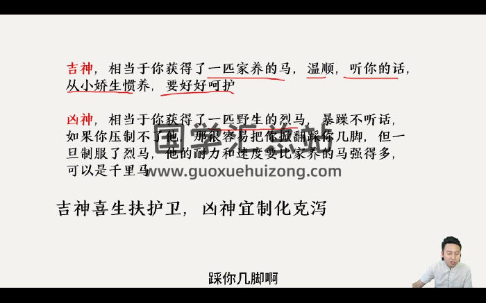 壹成《八字系统进阶课》21集视频约11小时-封面四柱八字