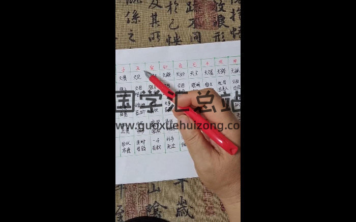 籽熙《一掌经视频教程》44集视频约7小时-封面手相面相